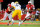 LINCOLN, NE - SEPTEMBER 7: Quarterback Tommy Armstrong Jr. #4 of the Nebraska Cornhuskers runs the ball during their game against the Southern Miss Golden Eagles at Memorial Stadium on September 7, 2013 in Lincoln, Nebraska. Nebraska defeated Southern Miss 56-13. (Photo by Eric Francis/Getty Images)