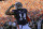Auburn quarterback Nick Marshall (14) salutes fans after scoring against Alabama on a 45-yard touchdown run during the first half of an NCAA college football game in Auburn, Ala., Saturday, Nov. 30, 2013. (AP Photo/Dave Martin)