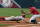 Alabama’s Georgie Salem beats the throw to Mississippi's Sikes Orvis as he dives safely back to first during the first inning of the Southeastern Conference college baseball tournament at the Hoover Met, Tuesday, May 19, 2015, in Hoover, Ala. (AP Photo/Butch Dill)