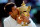 LONDON, ENGLAND - JULY 06:  Novak Djokovic of Serbia kisses the Gentlemen's Singles Trophy following his victory in the Gentlemen's Singles Final match against Roger Federer of Switzerland on day thirteen of the Wimbledon Lawn Tennis Championships at the All England Lawn Tennis and Croquet Club on July 6, 2014 in London, England.  (Photo by Al Bello/Getty Images)