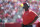 Tampa Bay Buccaneers head coach Lovie Smith watches from the sideline during the first half of an NFL football game against the Jacksonville Jaguars in Tampa, Fla., Sunday, Oct. 11, 2015. (AP Photo/Phelan M. Ebenhack)