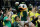 The Oregon Duck mascot clowns with the Oregon Pit Crew during the Civil War basketball an NCAA college basketball game against Oregon State in Eugene, Or. Saturday Jan. 3, 2015. (AP Photo/Chris Pietsch)