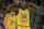 Golden State Warriors forward Draymond Green (23) gestures during the second half of an NBA basketball game against the Los Angeles Lakers in Oakland, Calif., Tuesday, Nov. 24, 2015. The Warriors won 111-77. (AP Photo/Jeff Chiu)