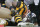Pittsburgh Steelers running back Le'Veon Bell (26) holds his knee after he was injured in the first half of an NFL football game against the Cincinnati Bengals, Sunday, Nov. 1, 2015 in Pittsburgh. (AP Photo/Gene J. Puskar)