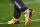 PITTSBURGH, PA - OCTOBER 02:  Antonio Brown #84 of the Pittsburgh Steelers warms up wearing cleats honoring Arnold Palmer before the game against the Kansas City Chiefs at Heinz Field on October 2, 2016 in Pittsburgh, Pennsylvania. (Photo by Joe Sargent/Getty Images)