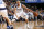 DALLAS, TX - APRIL 8:  Devin Harris #34 of the Dallas Mavericks dribbles the ball against the Memphis Grizzlies on April 8, 2016 at the American Airlines Center in Dallas, Texas. NOTE TO USER: User expressly acknowledges and agrees that, by downloading and or using this photograph, User is consenting to the terms and conditions of the Getty Images License Agreement. Mandatory Copyright Notice: Copyright 2016 NBAE (Photo by Danny Bollinger/NBAE via Getty Images)