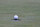 The ball hit by Jordan Spieth stops just shy of falling in on the 16th green for what would have been eagle during Round 1 of the Byron Nelson golf tournament, Thursday, May 19, 2016, in Irving, Texas. (AP Photo/Tony Gutierrez)
