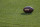 A football is seen a preseason NFL football game between the Green Bay Packers and the Philadelphia Eagles Thursday, Aug. 10, 2017, in Green Bay, Wis. (AP Photo/Matt Ludtke)