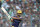 Kolkata Knight Riders batsman Shakib Al Hasan plays a shot during the 2016 Indian Premier League (IPL) Twenty20 cricket match between Kolkata Knight Riders and Sunrisers Hyderabad at the Eden Gardens Cricket Stadium in Kolkata on May 22, 2016.. ----IMAGE RESTRICTED TO EDITORIAL USE - STRICTLY NO COMMERCIAL USE----- / GETTYOUT / AFP / Dibyangshu SARKAR        (Photo credit should read DIBYANGSHU SARKAR/AFP/Getty Images)