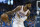 OKLAHOMA CITY, OK - APRIL 15: Paul George #13 of the Oklahoma City Thunder works the ball against the Utah Jazz during the second half of  Game One of the Western Conference in the 2018 NBA Playoffs at the Chesapeake Energy Arena on April 15, 2018 in Oklahoma City, Oklahoma. NOTE TO USER: User expressly acknowledges and agrees that, by downloading and or using this photograph, User is consenting to the terms and conditions of the Getty Images License Agreement. (Photo by J Pat Carter/Getty Images) *** Local Caption *** Paul George;