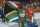 South Africa's Caster Semenya celebrates winning gold in the woman's 800m final at Carrara Stadium during the Commonwealth Games on the Gold Coast, Australia, Friday, April 13, 2018. (AP Photo/Dita Alangkara)