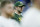 Green Bay Packers quarterback Aaron Rodgers watches from the sideline during the second half of an NFL football game against the Detroit Lions, Sunday, Dec. 31, 2017, in Detroit. (AP Photo/Duane Burleson)