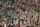Persepolis soccer fans applaud their team during their AFC Champions League soccer match against Al Wahda at the Azadi stadium in Tehran, Iran, Monday, May, 8, 2017. Persepolis won the match 4-2. (AP Photo/Vahid Salemi)