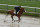 Justify gets used to the wet track at Pimlico Race Course in Baltimore.