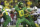 Oregon's Justin Herbert drops back to pass against Stanford during the third quarter an NCAA college football game Saturday, Sept. 22, 2018, in Eugene, Ore. (AP Photo/Chris Pietsch)