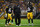 PITTSBURGH, PA - OCTOBER 02:  Antonio Brown #84 looks on alongside head coach Mike Tomlin and Le'Veon Bell #26 of the Pittsburgh Steelers during the game against the Kansas City Chiefs at Heinz Field on October 2, 2016 in Pittsburgh, Pennsylvania. (Photo by Joe Sargent/Getty Images) *** Local Caption ***