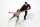 DETROIT, MICHIGAN - JANUARY 24: Tarah Kayne and Danny OShea compete in the championship pairs short program during the 2019 Geico U.S. Figure Skating Championships at Little Caesars Arena on January 24, 2019 in Detroit, Michigan. (Photo by Gregory Shamus/Getty Images)