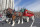 Budweiser's symbolic Clydesdales are featured in yet another Super Bowl commercial.