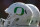 SALT LAKE CITY, UT - NOVEMBER 19: Isolated view of Oregon Ducks helmets on the sideline during the Ducks game against the Utah Utes at Rice-Eccles Stadium on November 19, 2016 in Salt Lake City, Utah. (Photo by Gene Sweeney Jr/Getty Images)