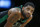 Boston Celtics' Kyrie Irving stands on the court during a stoppage in play during the second half of an NBA basketball game against the Houston Rockets in Boston, Sunday, March 3, 2019. (AP Photo/Michael Dwyer)
