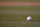 DENVER, CO - JUNE 11:  The ball lies on the grass as the Atlanta Braves face the Colorado Rockies at Coors Field on June 11, 2014 in Denver, Colorado.  (Photo by Doug Pensinger/Getty Images)
