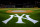 The New York Yankees logo is seen behind home plate at Yankee Stadium in New York following a baseball game against the Oakland Athletics, Friday, May 3, 2013. The Athletics won 2-0. (AP Photo/Julio Cortez)