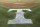 The Texas Rangers logo is shown behind the batters box before a baseball game against the Tampa Bay Rays Tuesday, Aug. 28, 2012, in Arlington, Texas. The Rangers won 1-0. (AP Photo/Tony Gutierrez)