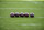 Footballs sit on the field prior to an NFL football game between the Carolina Panthers and the Seattle Seahawks in Charlotte, N.C., Sunday, Nov. 25, 2018. (AP Photo/Mike McCarn)