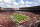Fans fill Bryant Denny Stadium on homecoming day before an NCAA college football game between Alabama and Georgia State on Saturday, Oct. 5, 2013, in Tuscaloosa, Ala. (AP Photo/Butch Dill)