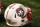 A helmet of the New Mexico Lobos is pictured during an NCAA college football game between New Mexico and Air Force in Albuquerque, N.M., Saturday, Sep. 30, 2017. (AP Photo/Andres Leighton)
