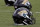 Jacksonville Jaguars helmets on the field during an NFL football practice, Friday, May 31, 2019, in Jacksonville, Fla. (AP Photo/John Raoux)