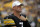 Pittsburgh Steelers quarterback Ben Roethlisberger (7) stands on the sideline during the second half of a 28-26 loss to the Seattle Seahawks in an NFL football game in Pittsburgh, Sunday, Sept. 15, 2019. Roethlisberger did not play the second half of the game. (AP Photo/Gene J. Puskar)