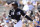 GLENDALE, ARIZONA - MARCH 08:  Luis Robert #88 of the Chicago White Sox bats against the Kansas City Royals on March 8, 2020 at Camelback Ranch in Glendale Arizona.  (Photo by Ron Vesely/Getty Images)