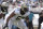 ARCHIVO – En esta fotografía de archivo del 13 de octubre de 2019, el guard derecho Larry Warford, de los Saints de Nueva Orleans (67), bloquea a los Jaguars de Jacksonville, en la segunda mitad del partido de la NFL, en Jacksonville, Florida. (AP Foto/Phelan M. Ebenhack, Archivoe)