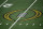 The College Football Championship Playoff logo is shown on the field at AT&T Stadium during the NCAA Cotton Bowl semi-final playoff football game between Clemson and Notre Dame on Saturday, Dec. 29, 2018, in Arlington, Texas. (AP Photo/Roger Steinman)