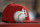 A ball is seen in the dugout with a St. Louis Cardinals hat during the fifth inning of a baseball game between the St. Louis Cardinals and the Arizona Diamondbacks Friday, July 12, 2019, in St. Louis. (AP Photo/Jeff Roberson)