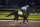 Kentucky Derby entry Tiz the Law runs during a workout at Churchill Downs, Friday, Sept. 4, 2020, in Louisville, Ky. The Kentucky Derby is scheduled for Saturday, Sept. 5th. (AP Photo/Darron Cummings)