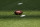 A detail shot of a football during an NFL football game between the Washington Football Team and the New York Giants, Sunday, Oct. 18, 2020, in East Rutherford, N.J. (AP Photo/Adam Hunger)