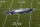 Shown is the Philadelphia Eagles logo during a NFL football game at Lincoln Financial Field Thursday, Aug. 25, 2011, in Philadelphia. (AP Photo/Matt Rourke)