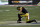 Pittsburgh Steelers wide receiver Chase Claypool (11) kneels at midfield following a 48-37 loss to the Cleveland Browns during an NFL wild-card playoff football game, Sunday, Jan. 10, 2021, in Pittsburgh. (AP Photo/Justin Berl)
