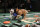 IMAGE DISTRIBUTED FOR DISCOVERY COMMUNICATIONS - Atmosphere at the Puppy Bowl X at the Discovery Times Square Experience in New York on Tuesday, Jan. 28, 2014. (Mark Von Holden/AP Images for Discovery Communications)