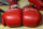 Boxing gloves lay on a table during the Brigade Boxing Championships at the U.S. Naval Academy in Annapolis, Md., Friday, Feb. 28, 2014. The academy has offered boxing since 1865, both as a club sport as well as a required part of the physical education program. (AP Photo/Patrick Semansky)