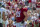 FILE - Alabama offensive lineman Landon Dickerson (69) is shown during the first half of an NCAA college football game against Southern Miss in Tuscaloosa, Ala., in this Saturday, Sept. 21, 2019, file photo. Dickerson was selected to The Associated Press All-America first-team offense, Monday, Dec. 28, 2020.  (AP Photo/Vasha Hunt, File)
