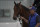 Preakness entrant Concert Tour is walked in the barn ahead of the Preakness Stakes at Pimlico Race Course, Wednesday, May 12, 2021, in Baltimore. (AP Photo/Julio Cortez)
