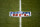 File-This Jan. 3, 2021, file photo shows the NFL logo on the field before a game between the Denver Broncos and the Las Vegas Raiders in Denver. The NFL and NFL Players Association have updated COVID-19 protocols to loosen restrictions for fully vaccinated players and to encourage others to get the vaccine. Unvaccinated players must continue to get daily testing, wear masks and practice physical distancing. They won’t be allowed to eat meals with teammates, can’t participate in media or marketing activities while traveling, aren’t permitted to use the sauna or steam room and may not leave the team hotel or interact with people outside the team while traveling. (AP Photo/Jack Dempsey, File)