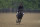 Black-Eyed Susan entrant Midnight Stroll, with exercise rider Humberto Gomez, gallops during a morning workout ahead of the Black-Eyed Susan horse race at Pimlico Race Course, Thursday, May 19, 2022, in Baltimore. (AP Photo/Julio Cortez)