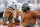 It's time we all appreciate what Charlie Strong has done for the Longhorns in his first season at the helm.