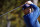 Padraig Harrington hasn't won since 2009 on PGA Tour.