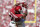 WR Dede Westbrook.