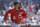 Anthony Rendon